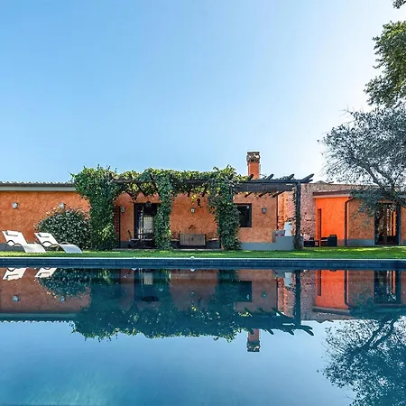 Pet Friendly In With Wi-fi Rocca Di Papa